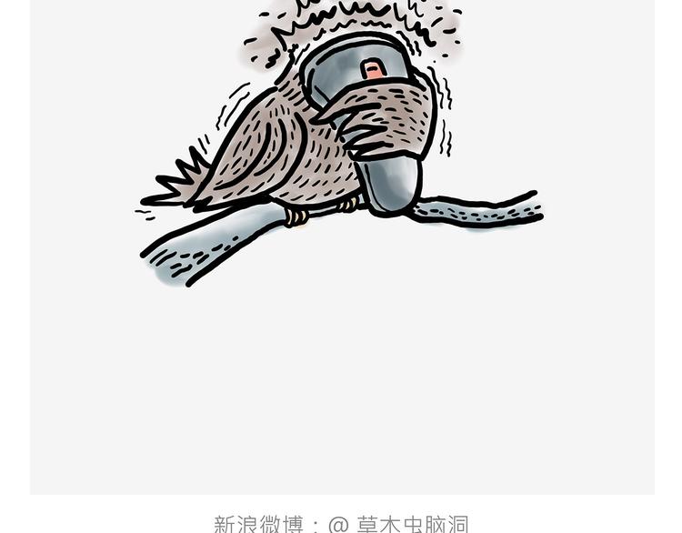 观光电梯29