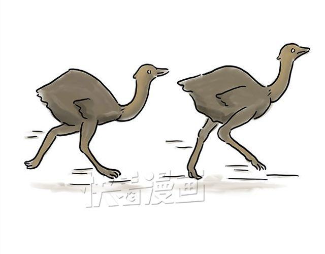 师傅钓鱼15