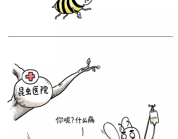 第152话 苹果鸟？？？20