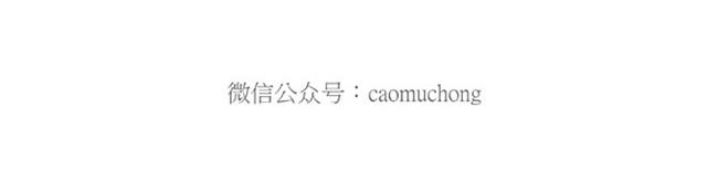 卖糕的师傅24