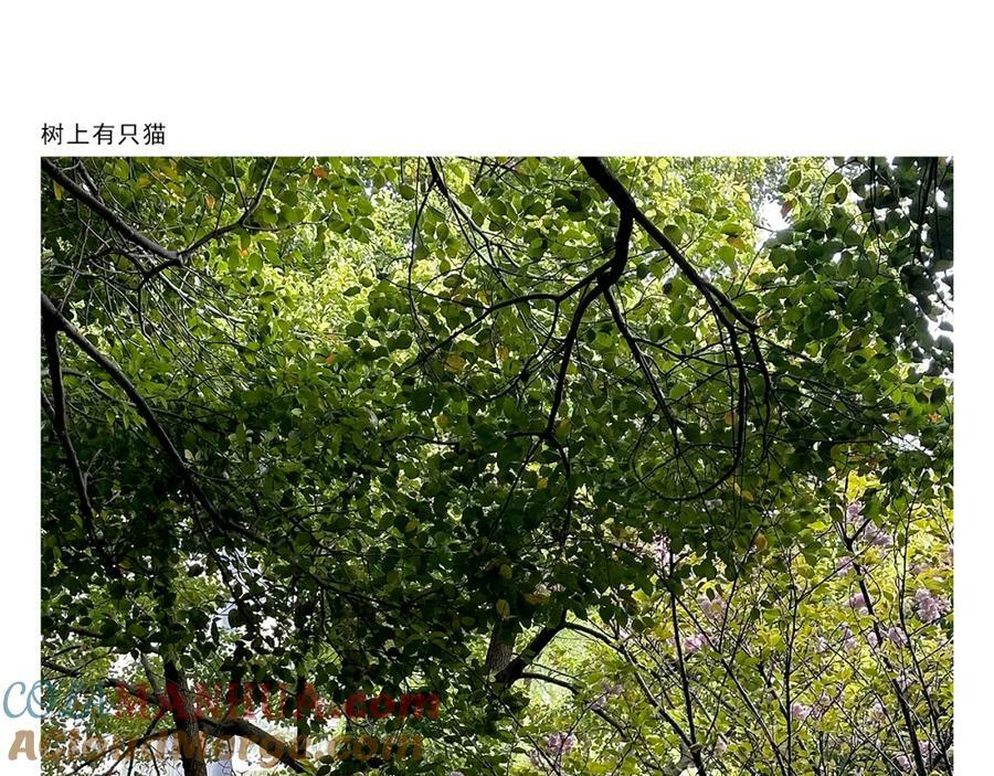 第429话 师父热疯了14