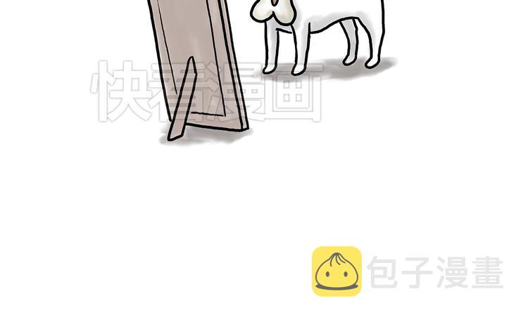 你看懂了吗？17