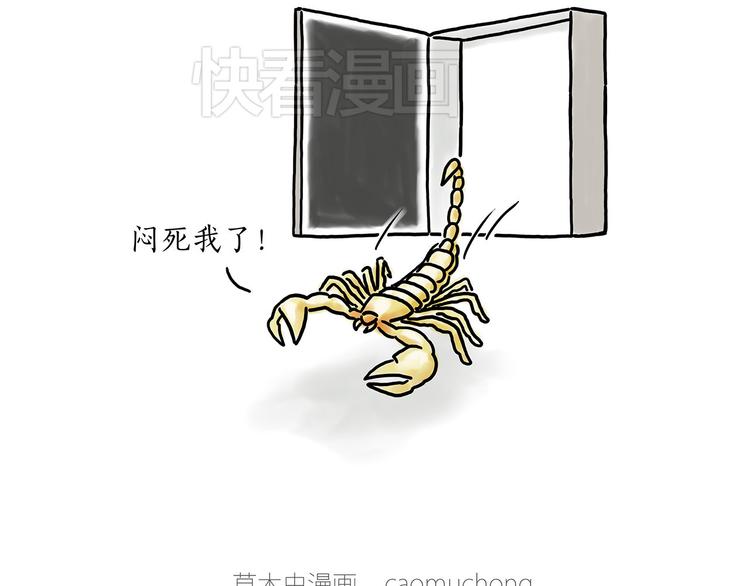 小鸡炖蘑菇14