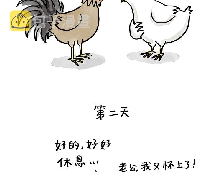 第188话 打黑车17
