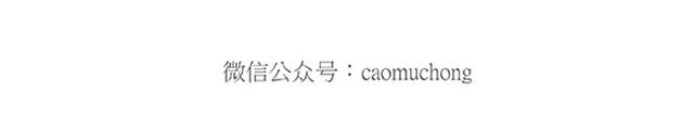 师傅保健17