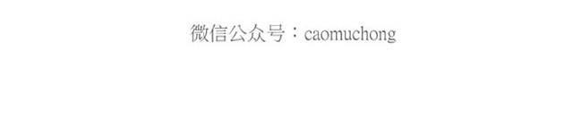 卖糕的师傅7