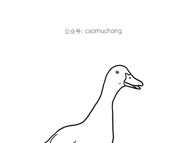 师傅洗澡8