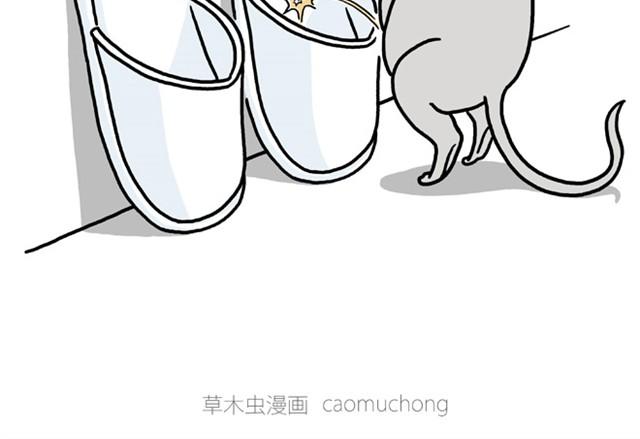 师傅开挖掘机15