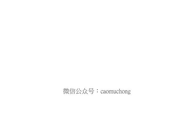 鸡打台球11