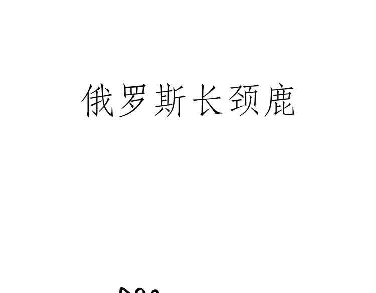 舞狮迎新年18