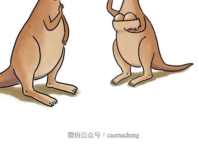 师傅拆快递34