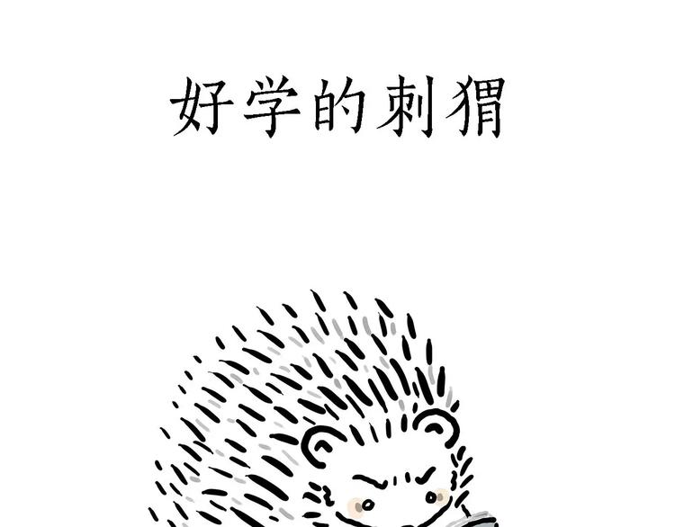 烹饪师傅9