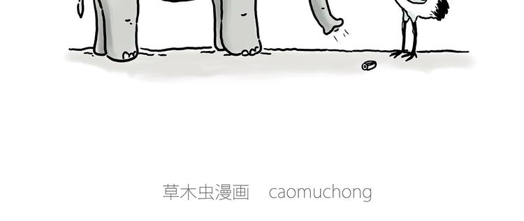 巧手小马8