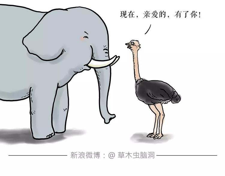 烹饪师傅31