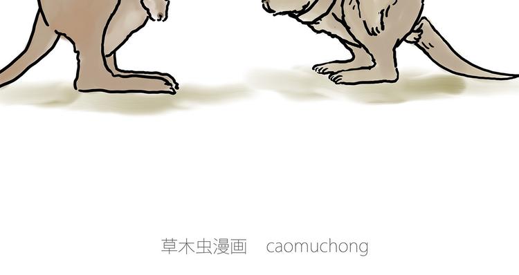 斗舞34