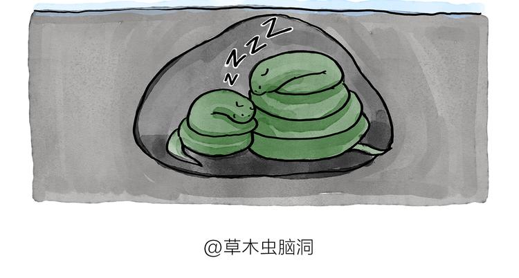 第189话 电话账单11