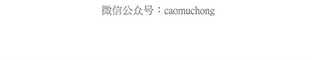 师傅开挖掘机13