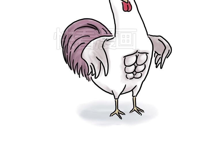 小鸡炖蘑菇27