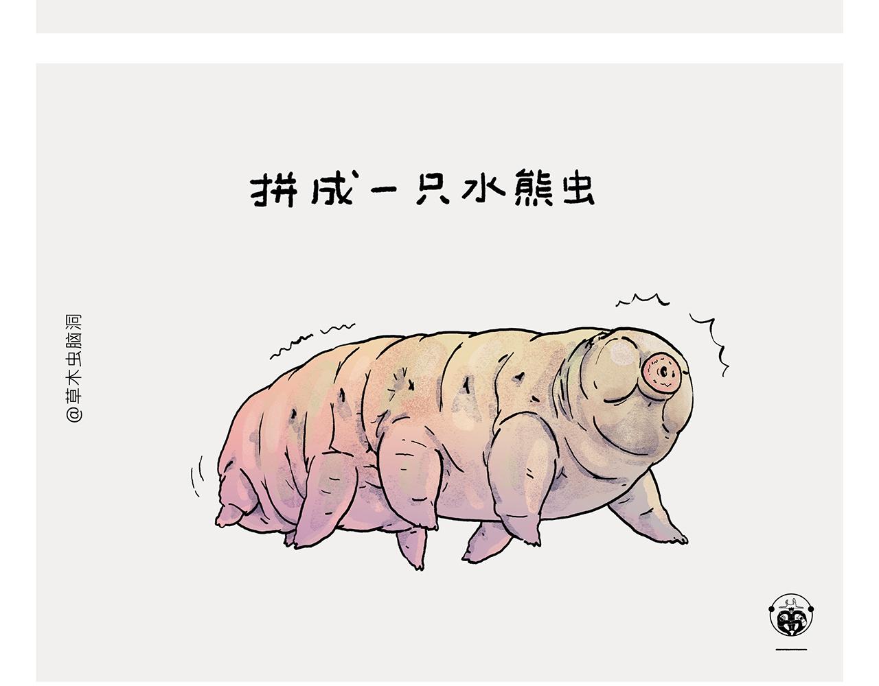第369话 向西滑行23