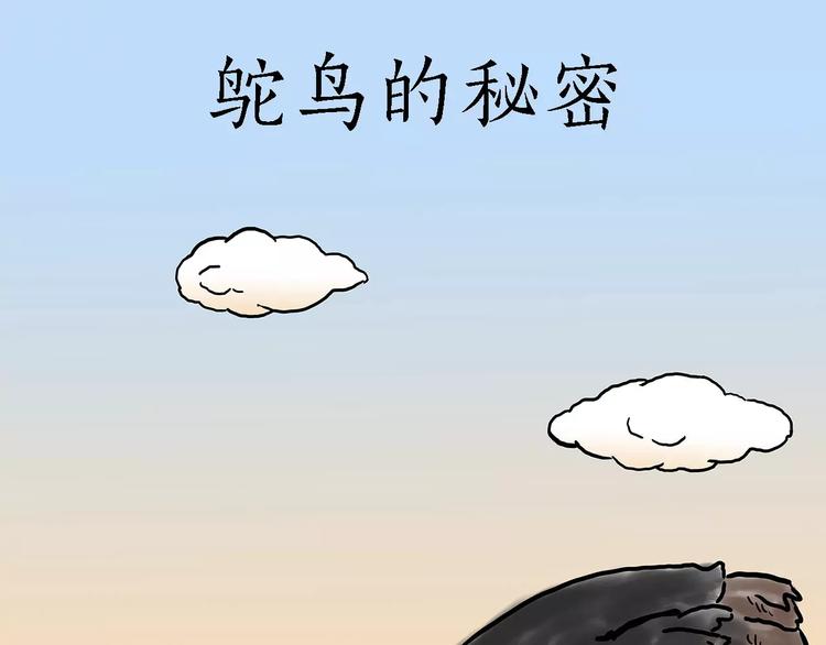 鸵鸟的秘密15