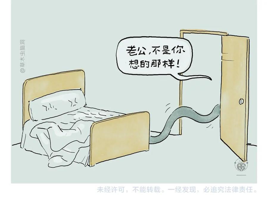 第446话 人参果和芒果19