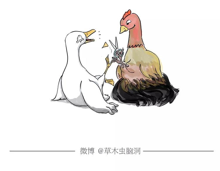 第159话 鸡鸭共奏25