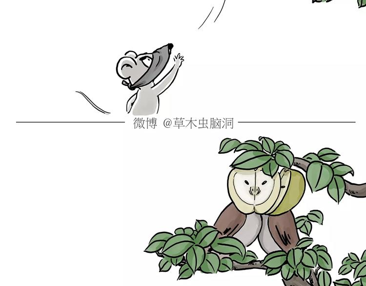 第152话 苹果鸟？？？25