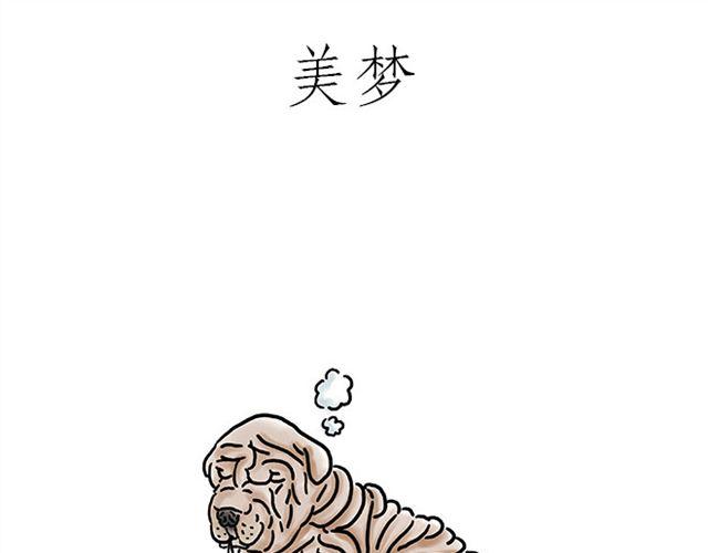 师傅的马戏8