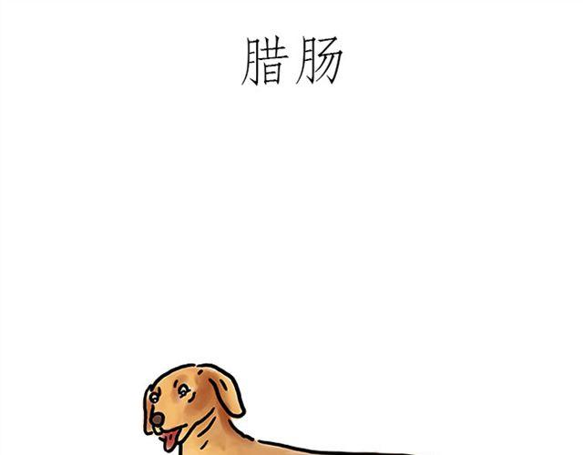 健身球操6