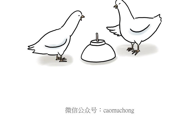 巧手小马19