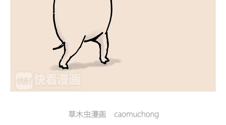 整容师徒14