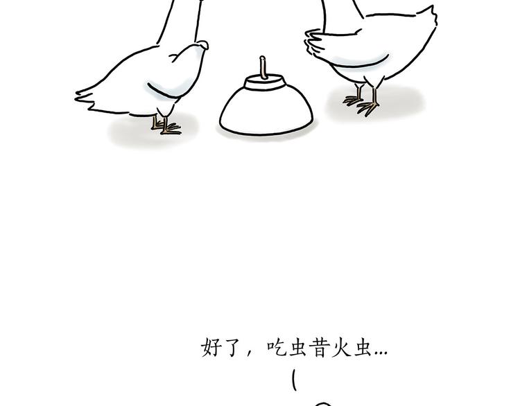 巧手小马18