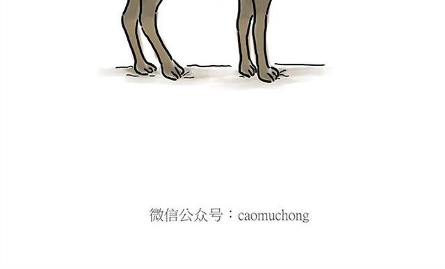 师傅钓鱼19