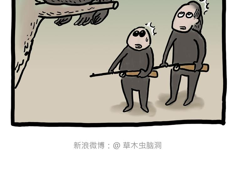 观光电梯15