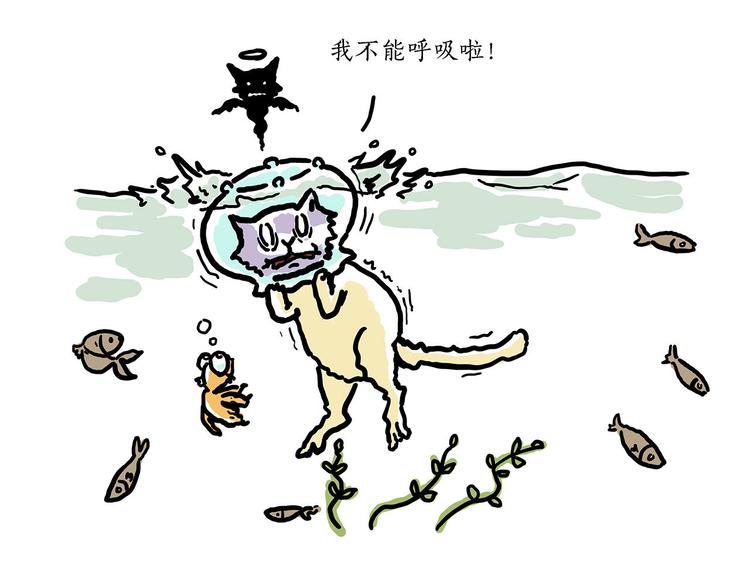 加长版宝马30