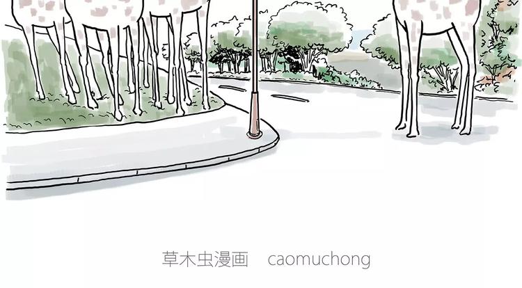 骚气的头箍12