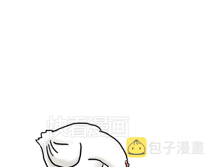 小鸡炖蘑菇29