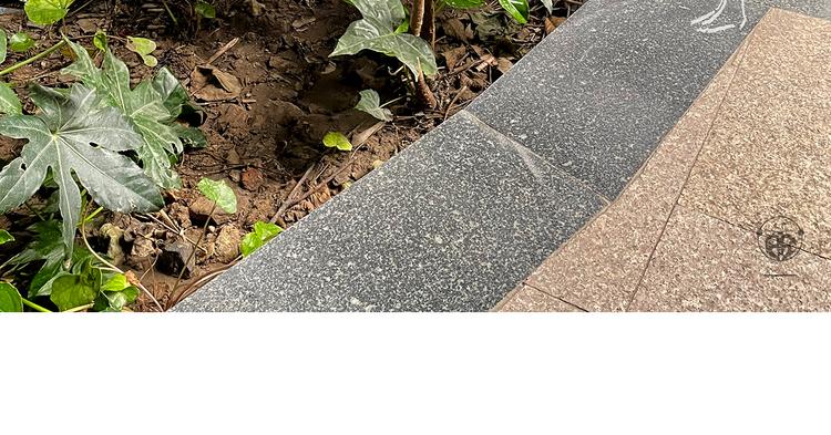 第335话 耳朵大显脸小吗？13