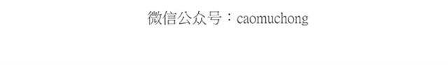 师傅保健36