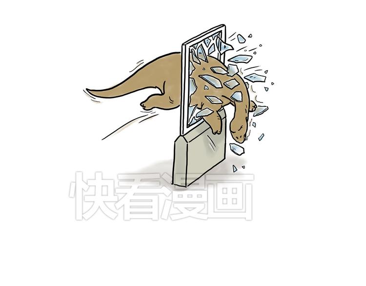 踢毽子24