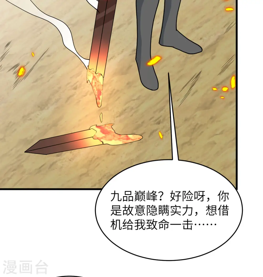 第121话 森罗暗生大阵47