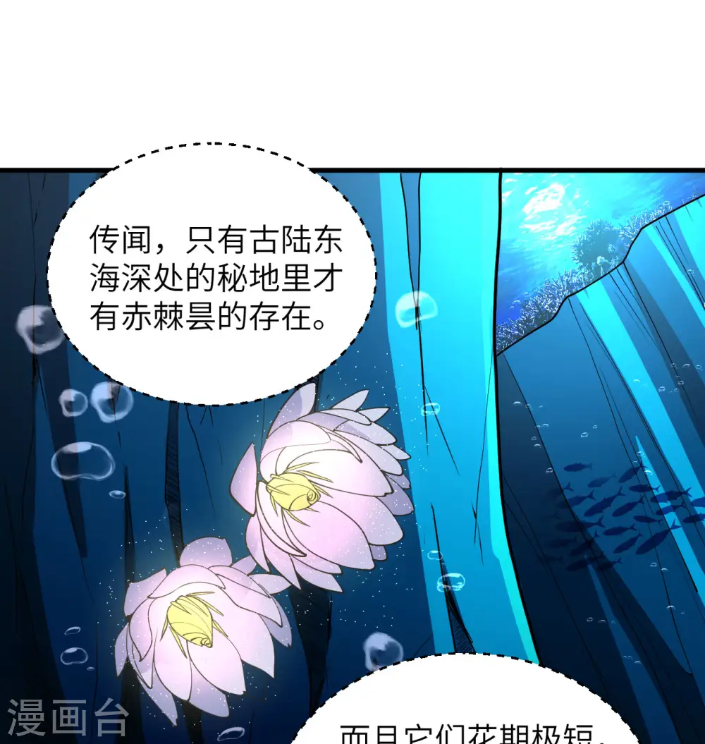第117话 交易27