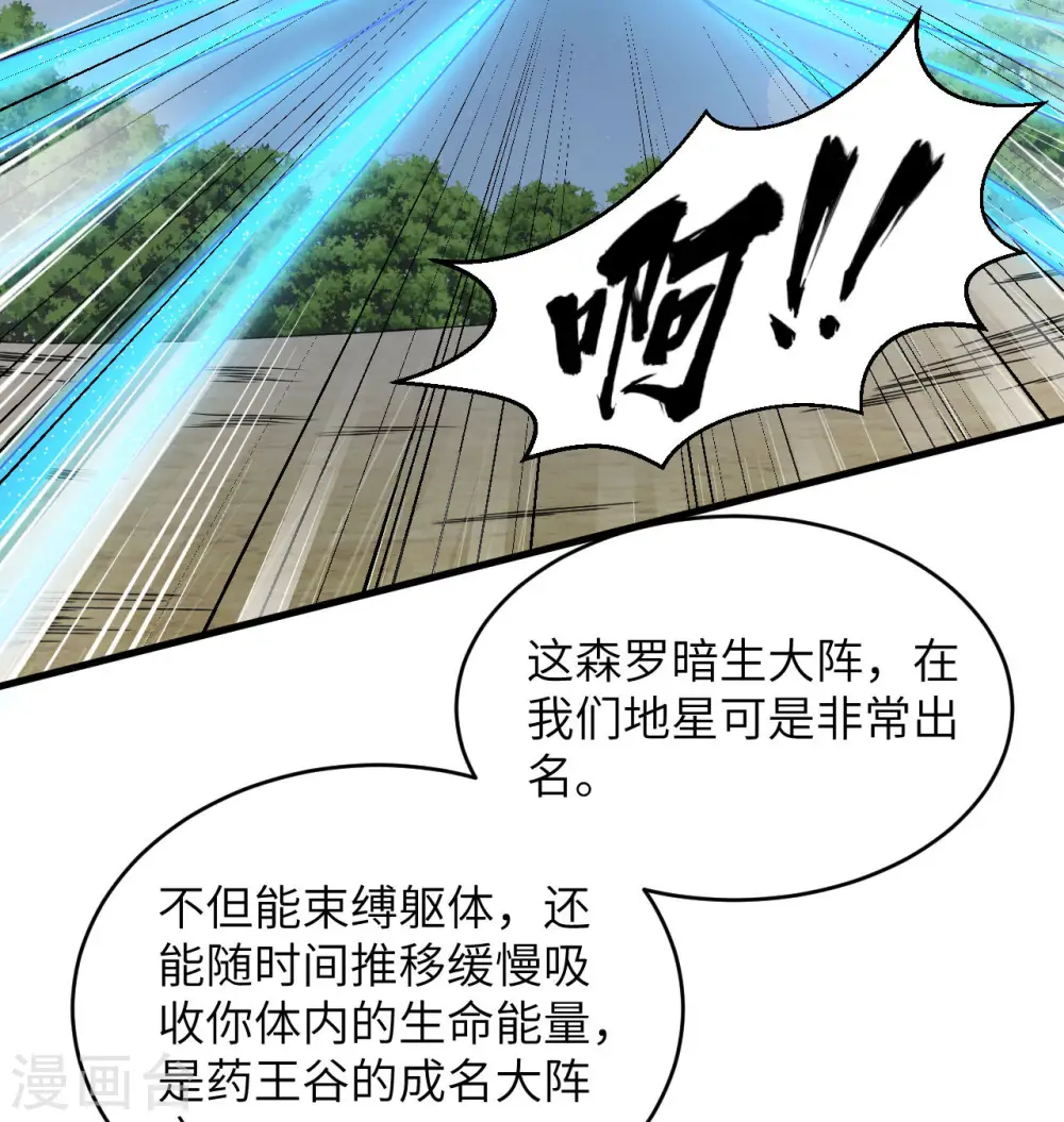 第122话 万象封葬阵5