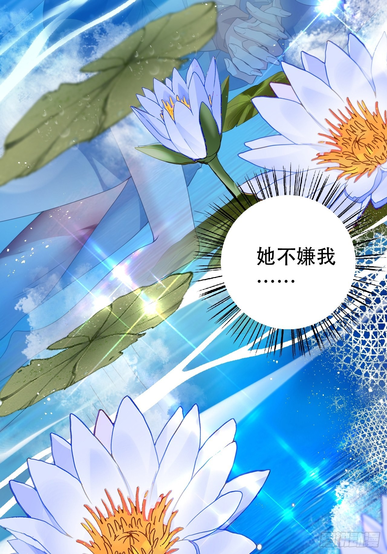 云容花开·壹11