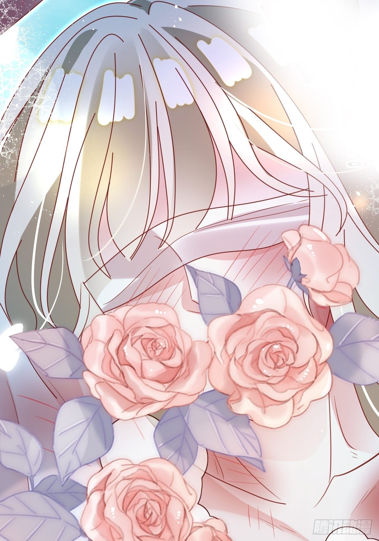 云容花开·壹39