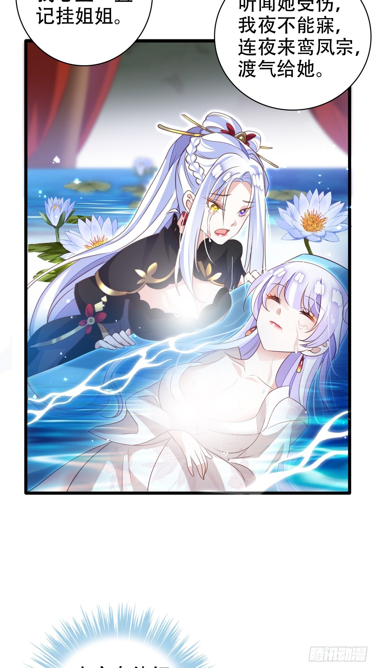 鸾凤宗的百合花都开好了47