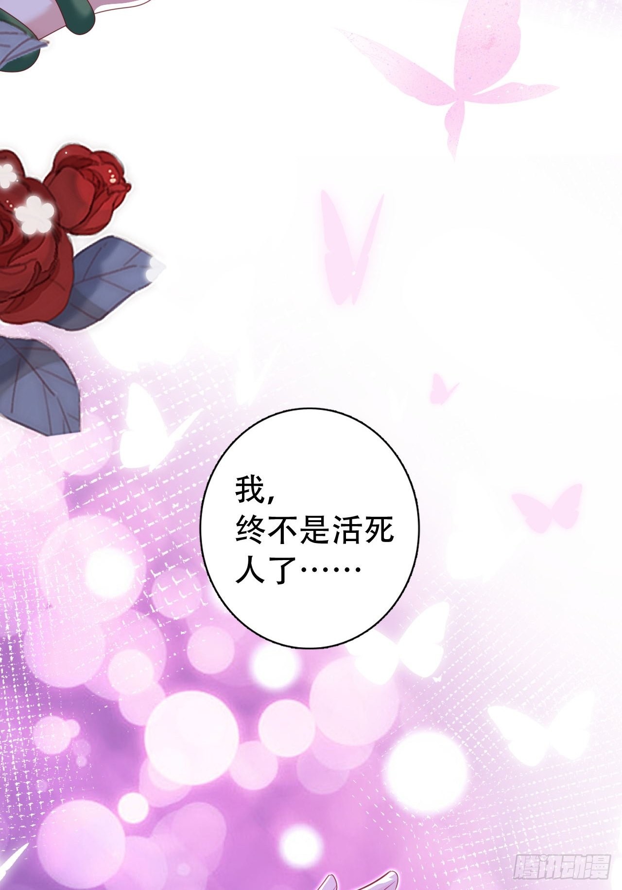 云容花开·贰9