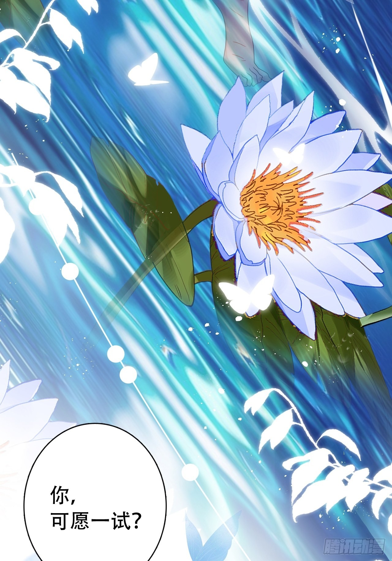 云容花开·壹4