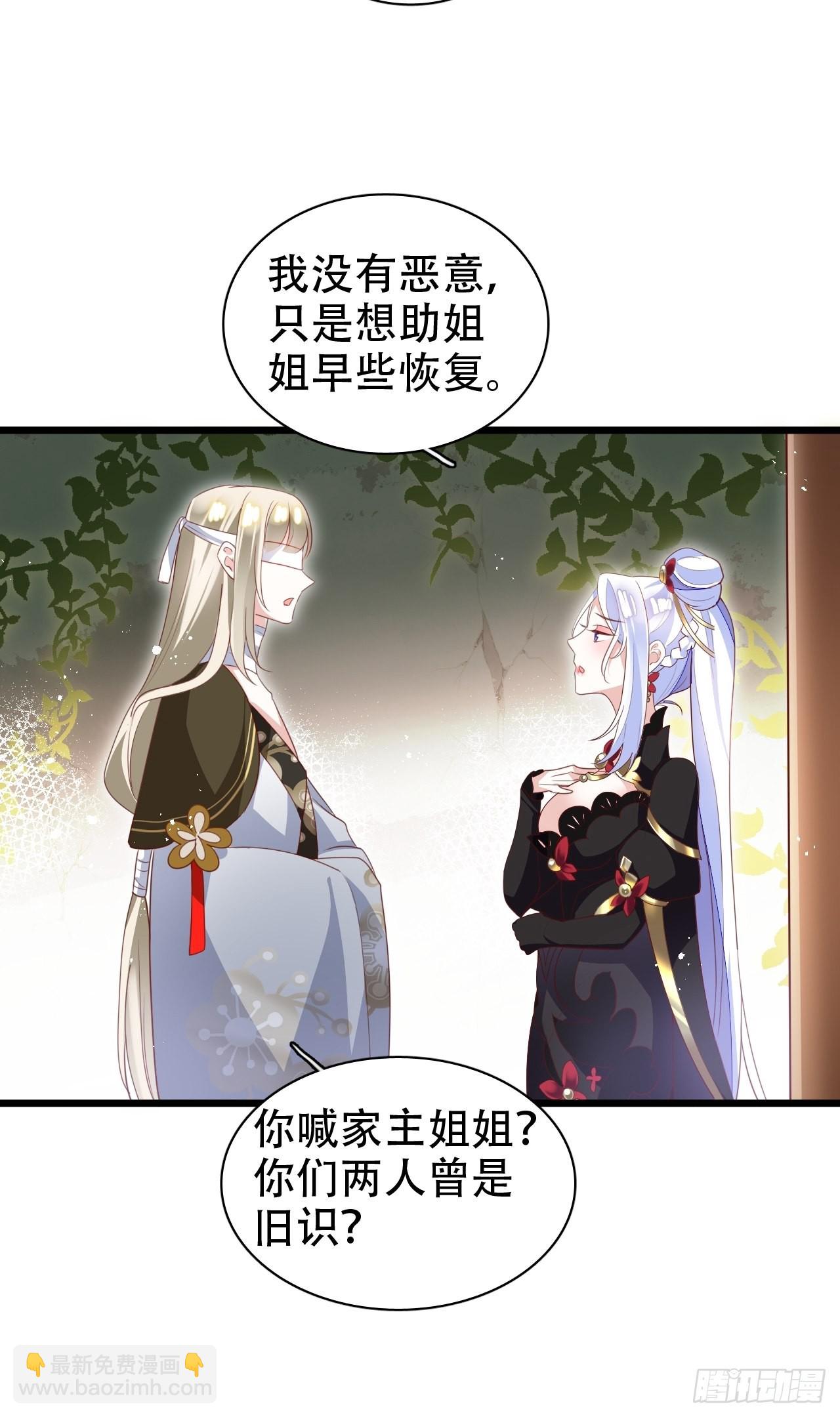 鸾凤宗的百合花都开好了44