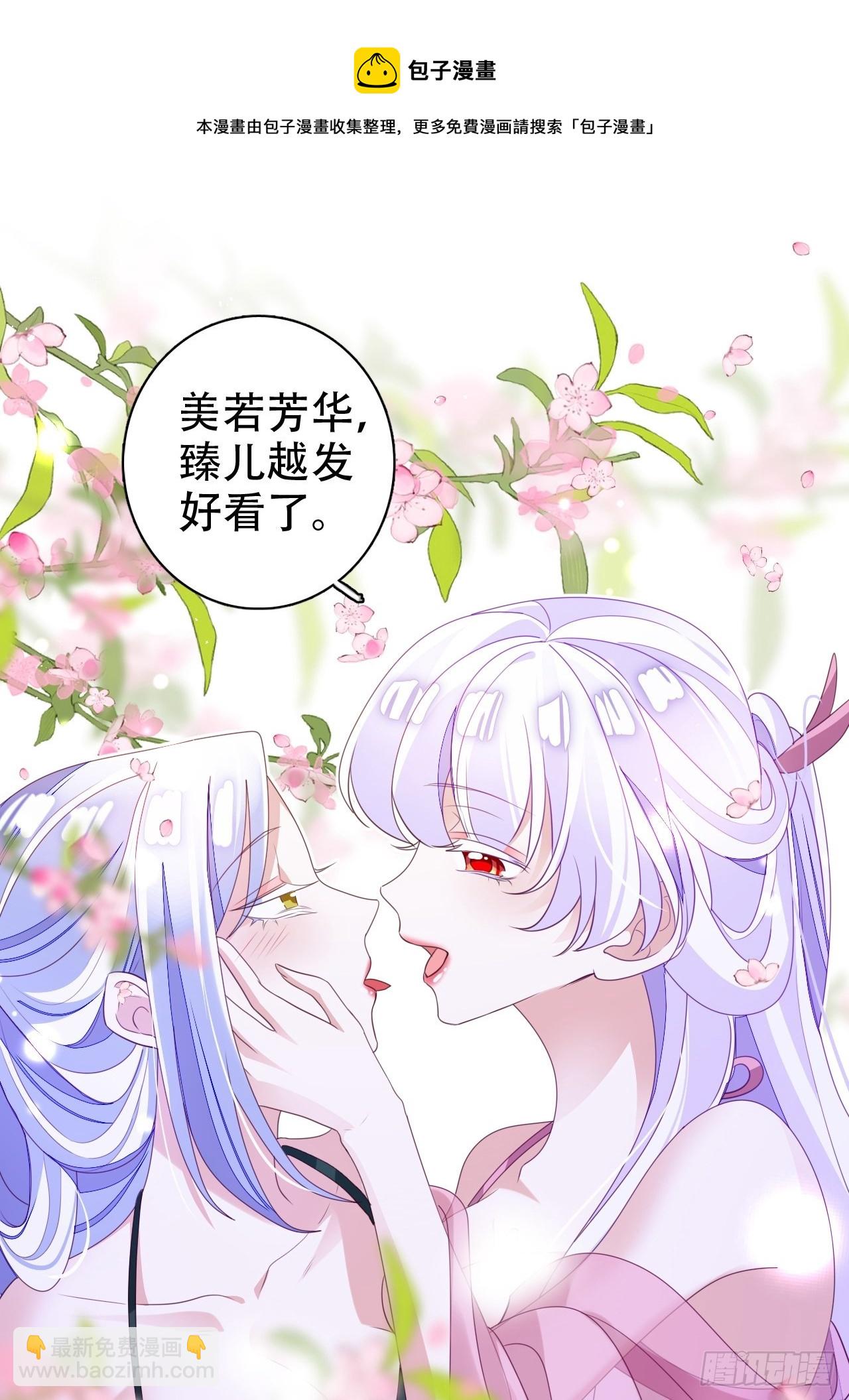 鸾凤宗的百合花都开好了30